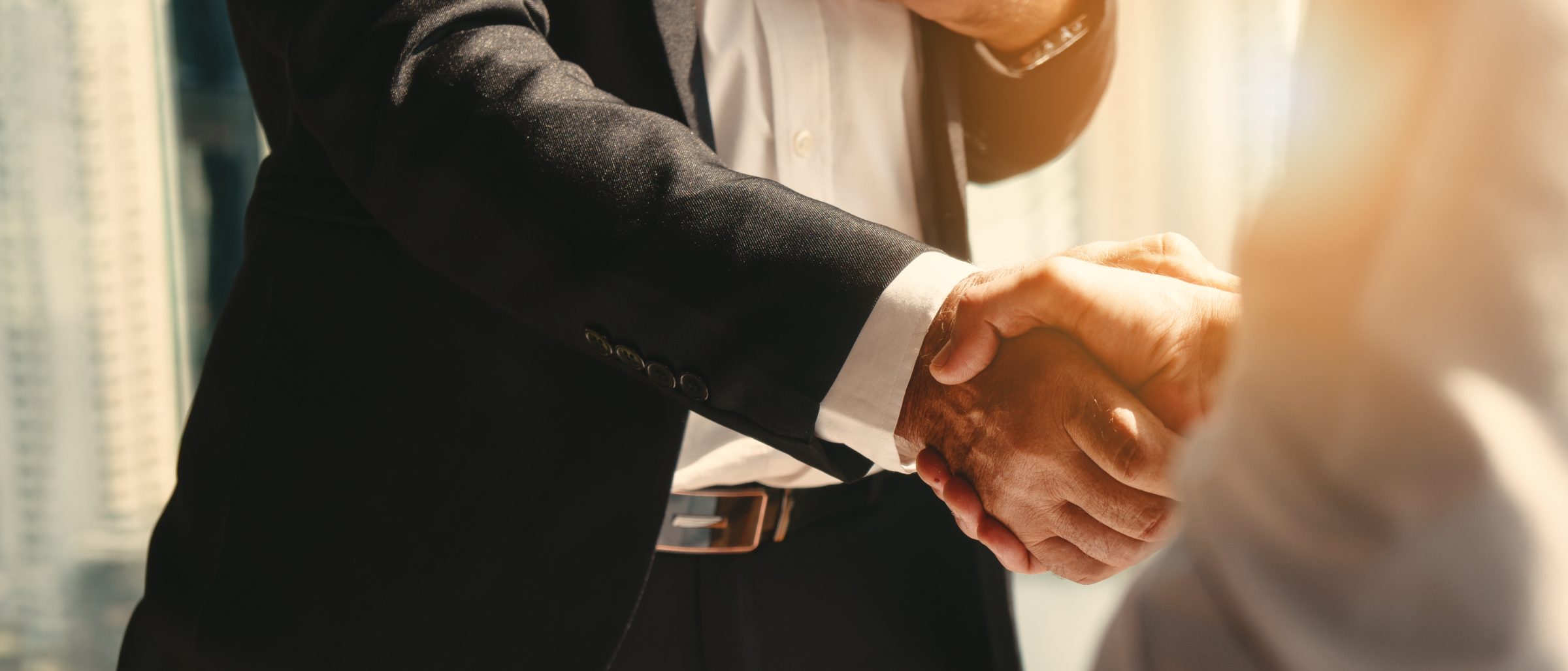 Two professionals in formal business attire shaking hands in sunlight